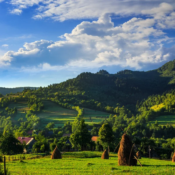 Feld in der Nähe der Heimat — Stockfoto