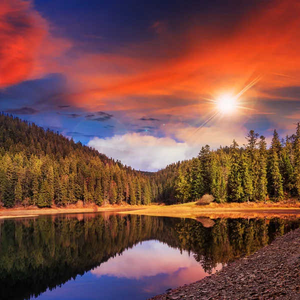 Tallskog och sjön nära berget vid solnedgången — Stockfoto