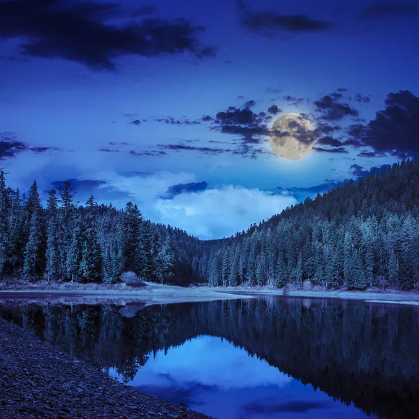 Kiefernwald und See in der Nähe des Berges bei Nacht — Stockfoto