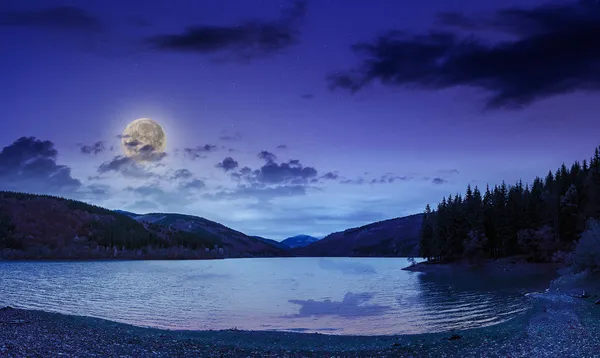 Borovice lesní a jezero poblíž hory pozdě v noci — Stock fotografie