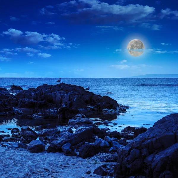 Gaviotas se sientan en grandes rocas cerca del mar observando la luna — Foto de Stock