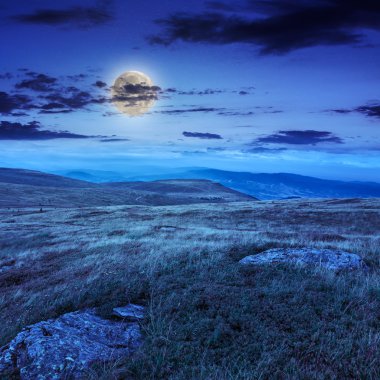stone mountain yamaçta orman ile gece ışık