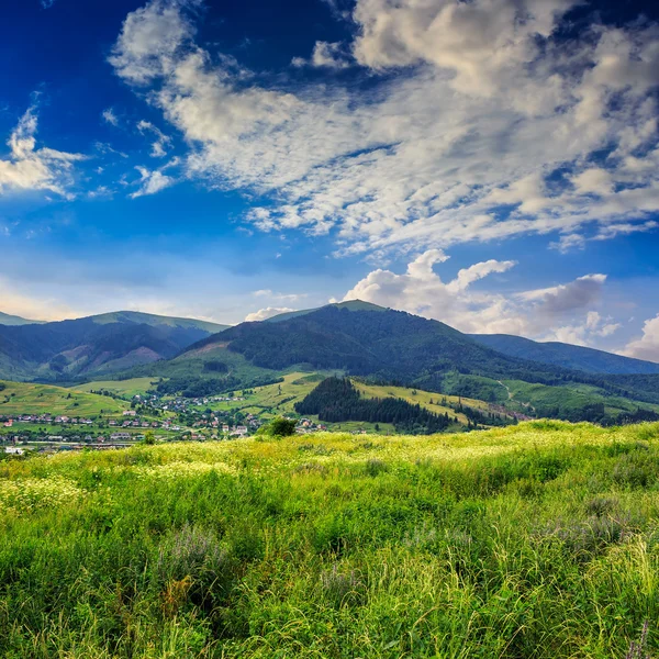 Pini vicino a valle in montagne sul fianco della collina sotto il cielo con — Foto Stock