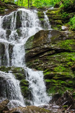 güzel şelale orman büyük taş gelir