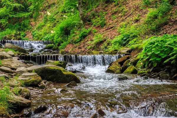 Лісова річка з камінням і мохом — стокове фото