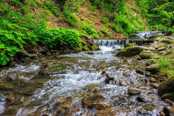 Lesní řeka s kameny a mechem — Stock fotografie