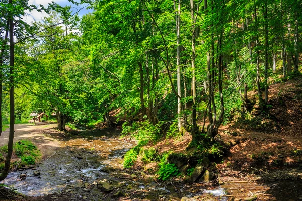 Orman nehir taşları ve moss ile — Stok fotoğraf