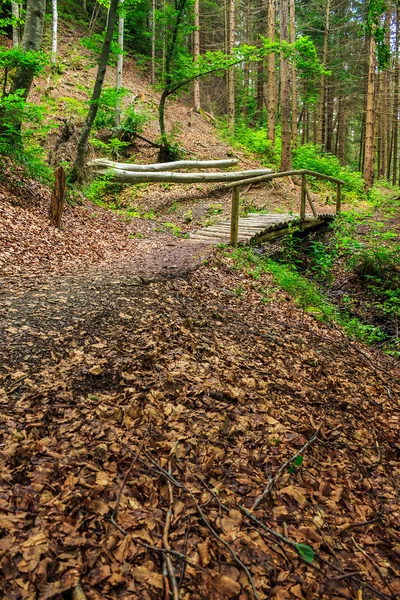 Wooden bridge disappears in forest — Stock Photo, Image