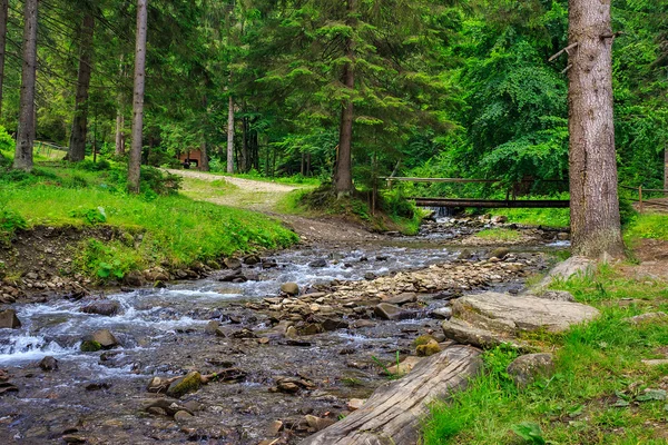 Forest river met stenen en moss — Stockfoto