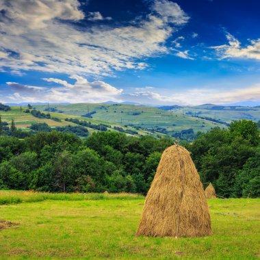 Çift haystacks ve dağ ağaçta