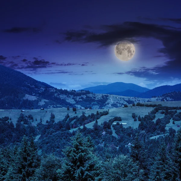 Forêt de conifères sur une pente de montagne la nuit — Photo