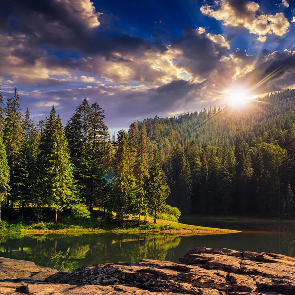 Tallskog och sjön nära berget vid solnedgången — Stockfoto