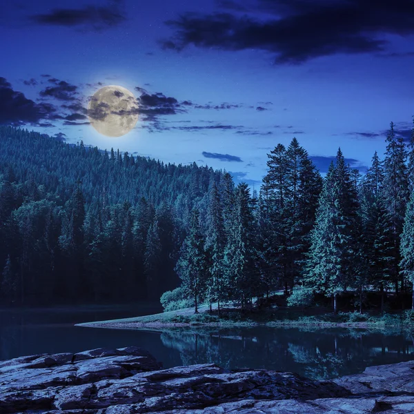 Forêt de pins et lac près de la montagne la nuit — Photo