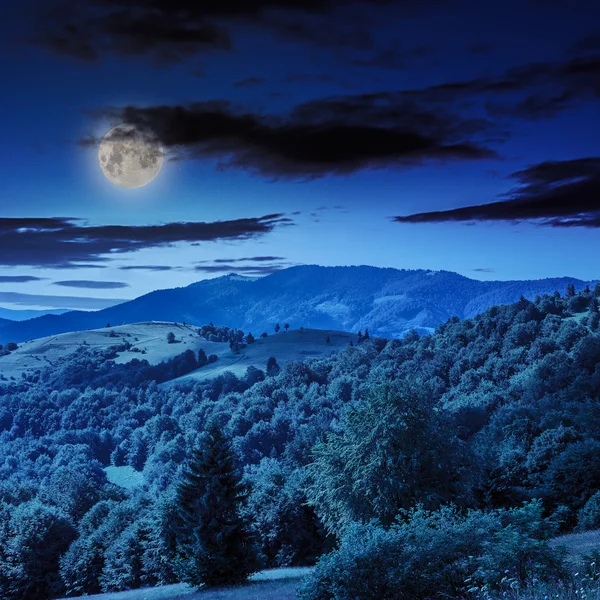 Sosny w pobliżu doliny w górach w nocy — Zdjęcie stockowe