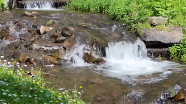 Свежий горный поток с водопадом — стоковое видео