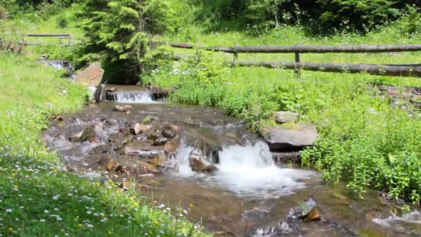 Le débit rapide du ruisseau de montagne — Video