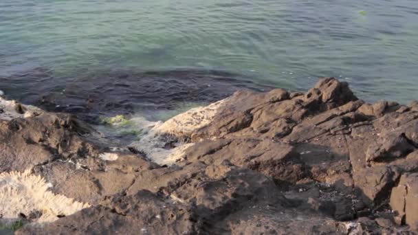 Quebras de ondas marítimas sobre pedras — Vídeo de Stock