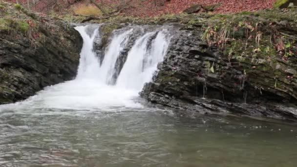 Красивый водопад выходит из огромной скалы в лесу — стоковое видео