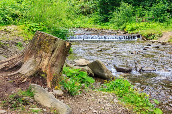 Forest river with stones, moss and stump — Stock Photo, Image