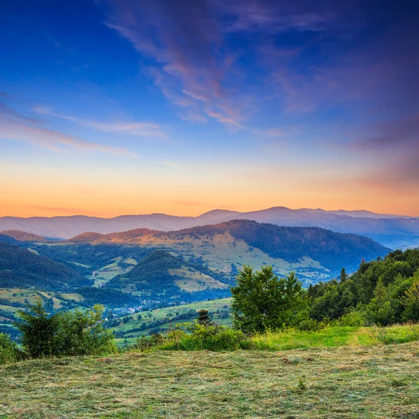 Aldeia no prado de encosta com floresta em montanha — Fotografia de Stock