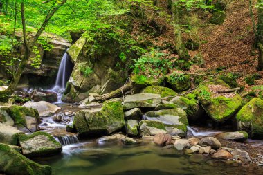 güzel şelale orman büyük taş gelir