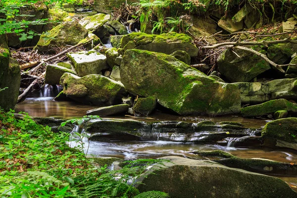 Hermosa cascada sale de una enorme roca en el bosque —  Fotos de Stock