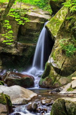 güzel şelale orman büyük taş gelir