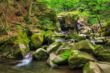 güzel şelale orman büyük taş gelir