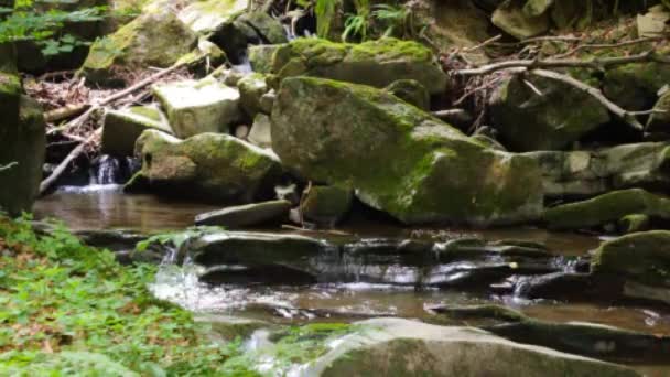 Hermosa cascada sale de una enorme roca en el bosque — Vídeo de stock