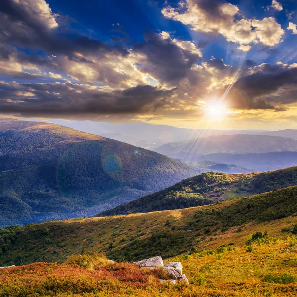 Gün batımında dağ üstünde yüksek vahşi bitkiler — Stok fotoğraf