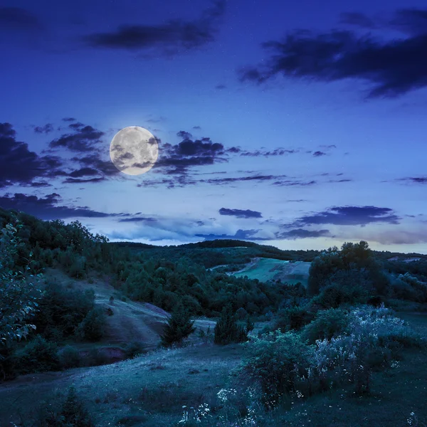 Árboles cerca del valle en las montañas en la ladera en la luz de la luna — Foto de Stock
