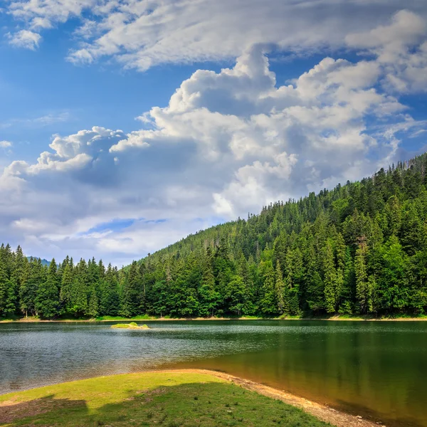 Pine forest and lake near the mountain — Stock Photo, Image