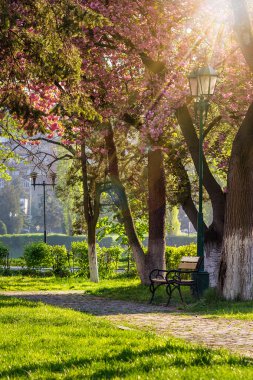 Fener ile eski şehir parkı