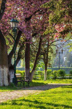 Fener ile eski şehir parkı