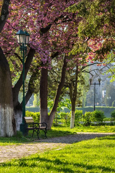 Stary park miejski z latarnią — Zdjęcie stockowe