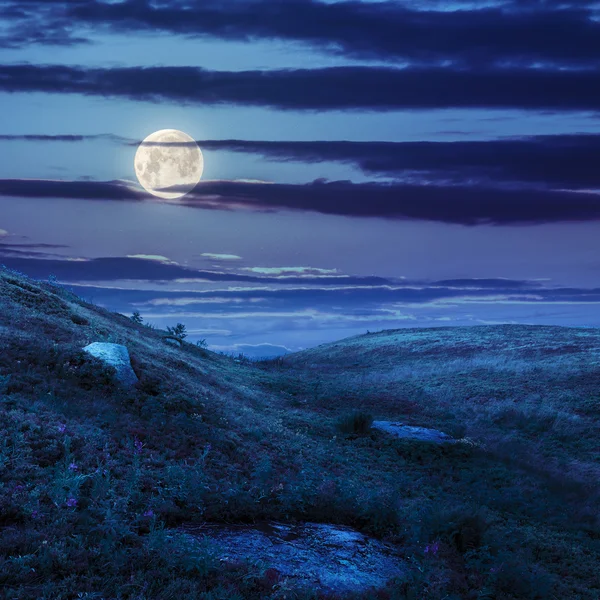 Fény a kő-hegy lejtőjén, az éjszakai erdő — Stock Fotó