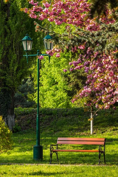 Gamla staden parkerar med lykta — Stockfoto