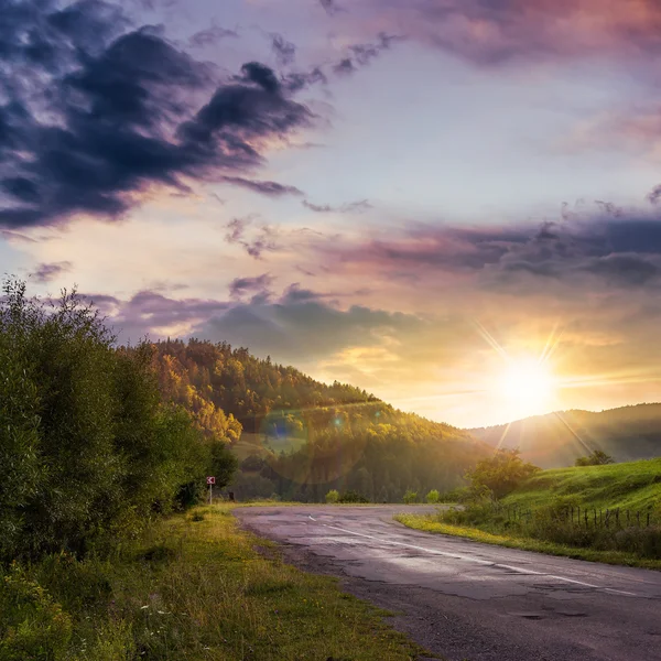 Going to nature at sunset — Stock Photo, Image