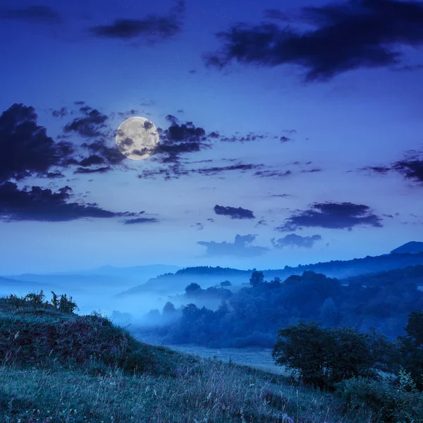 Nevoeiro frio à noite nas montanhas — Fotografia de Stock