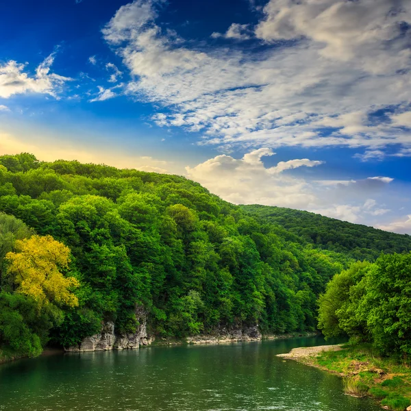 Calm mountain river on a clear summer morning — Stock Photo, Image