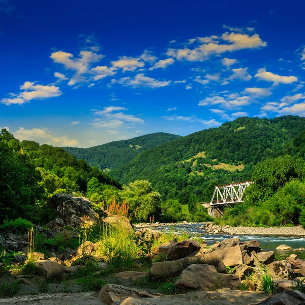 Rivière forestière avec pierres et herbe au lever du soleil — Photo