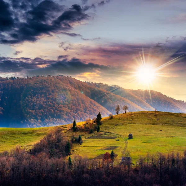 Borovic údolí v horách na svahu pod oblohou s — Stock fotografie