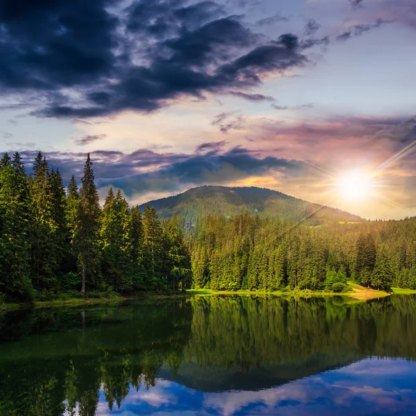 Tallskog och sjön nära berget vid solnedgången — Stockfoto