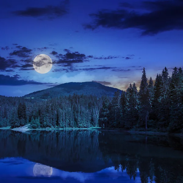 松の森と夜に山の近くの湖 — ストック写真