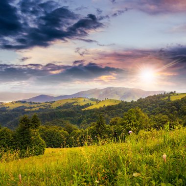 gün batımında hillside Vadisi üzerinde iğne yapraklı orman