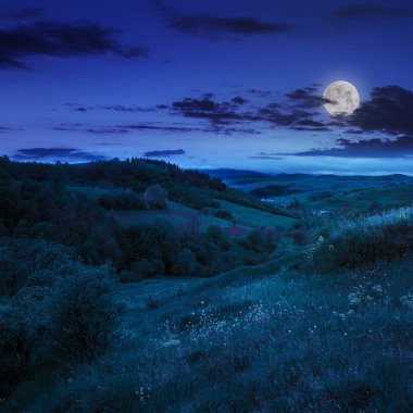 ağaçlar yamaca gece Köyü yakınındaki dağlarda