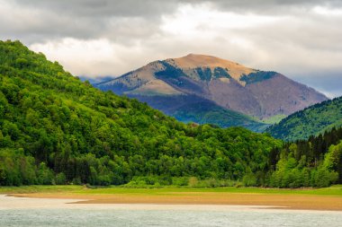 Orman ve göl kenarında dağa