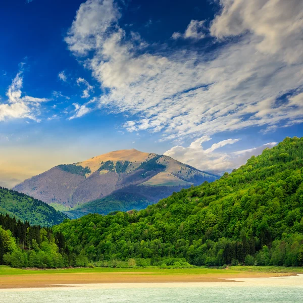 Foresta e lago vicino alla montagna la mattina presto — Foto Stock