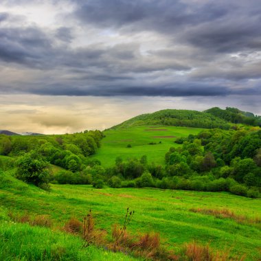 Orman dağlarında valley yakınındaki