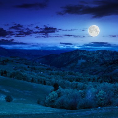 Orman Dağı'nda gece hillside çayır üzerinde